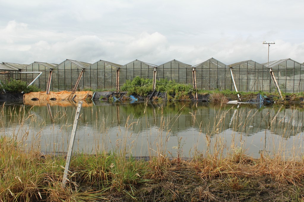 Kas Sappemeer foto 20.JPG